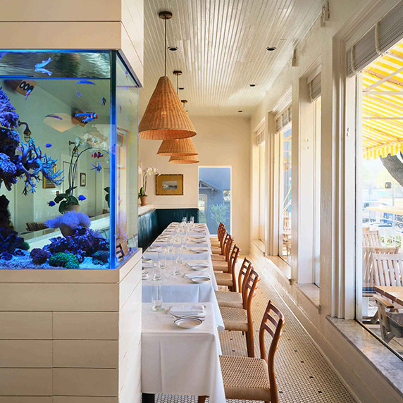 Clarks Austin, Tx dining room with vibrant fish tank and tables ready to seat guests